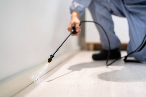 Licensed Pest Control service in Reidville, SC - Show Me Pest Control