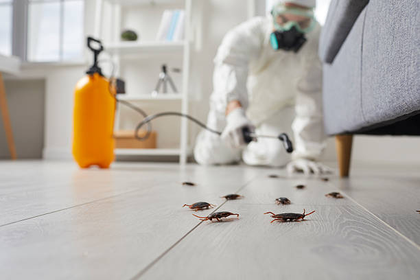 Commercial Rodent Management in Reidville
